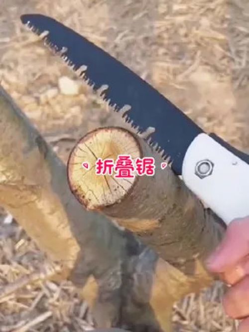德國品質(zhì)，匠心之選 探索德國進(jìn)口折疊手工鋸在園林工具中的卓越應(yīng)用